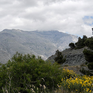 Pegasus Resort - Sights 3