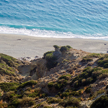 Pegasus Resort - Sights 5