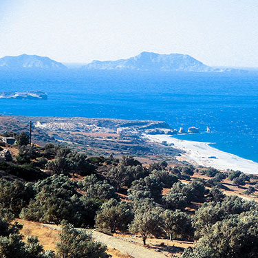 Pegasus Resort gallery image 1