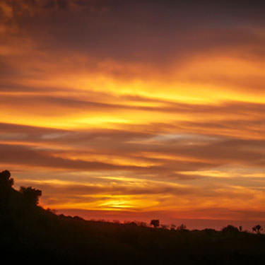 Pegasus Resort - Sights 12