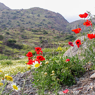 Pegasus Resort - Sights 13